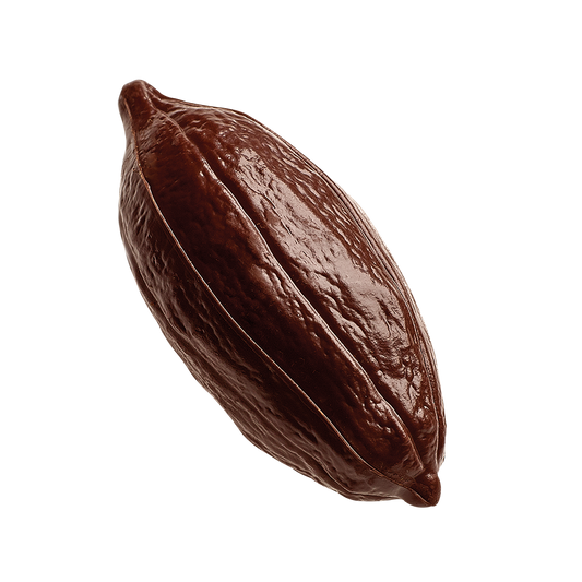 Neuhaus Criollo 80% dark 70% 10g (Pack of 2)